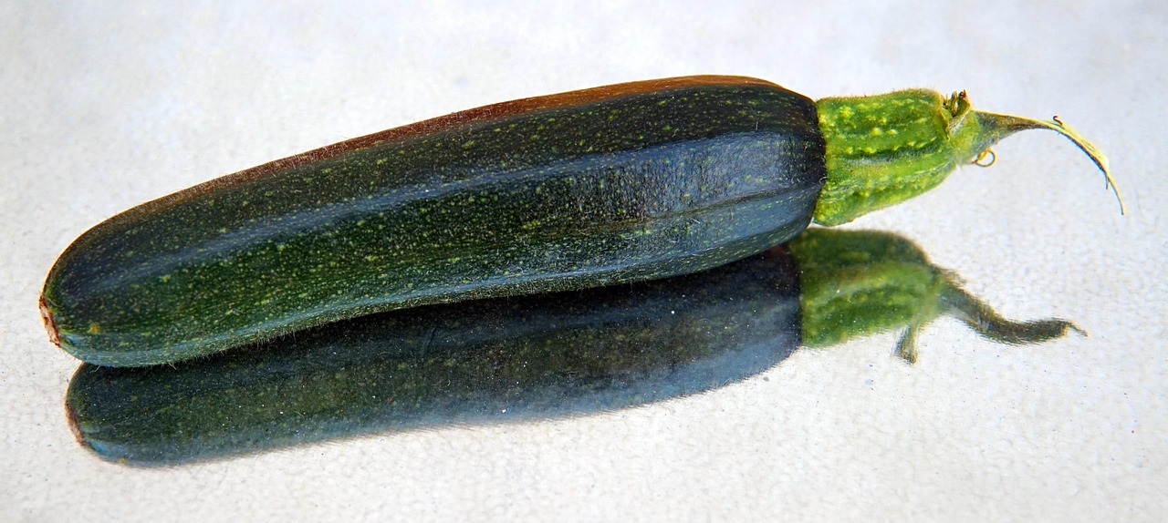 Zucchine grigliate dorate e croccanti su un piatto, pronte da gustare.