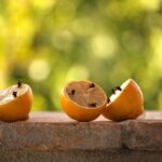 Giardino con piante repellenti per zanzare e persona che applica un rimedio naturale.