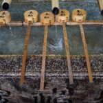 Centenari giapponesi sorseggiano bevande tradizionali, alternative all'acqua, per una vita lunga e sana.